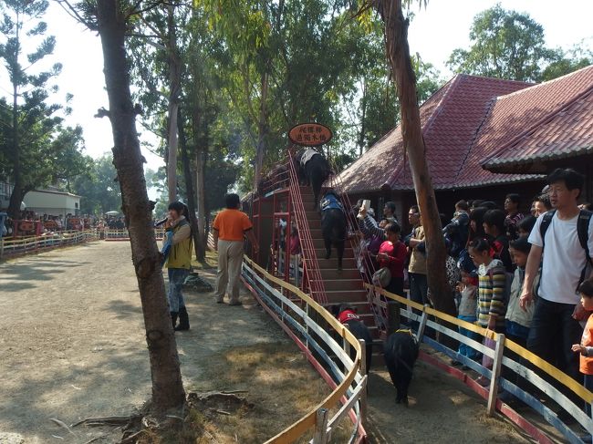 上る、下る<br /><br />餌に釣られて・・・何ですが、なかなかの迫力でした。<br />