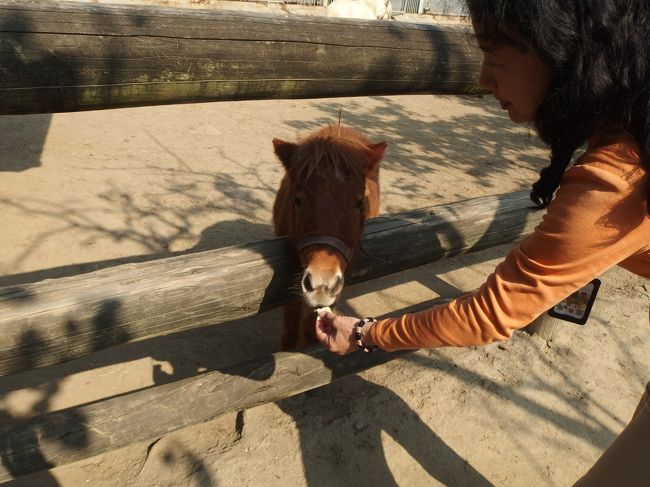 ちょうだい、ちょうだい。<br />