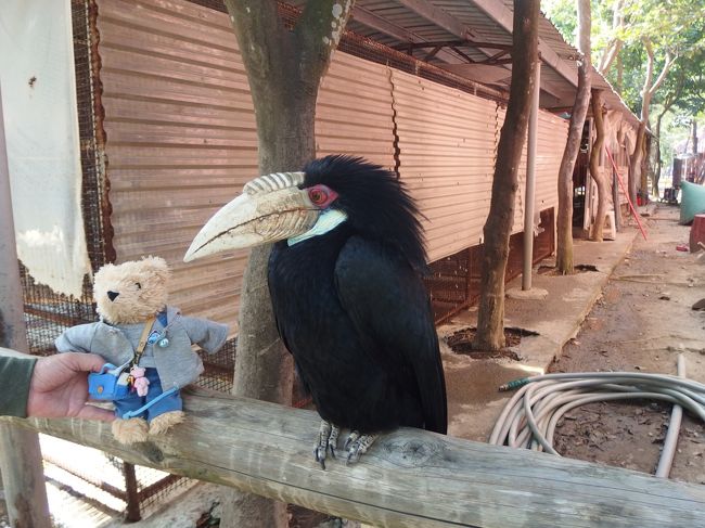 オオハシさんとファーレンちゃん。<br />