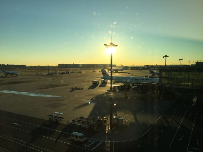 ちょうどウイングへ向けたコーナーのスペースを利用していてこんな眺め。