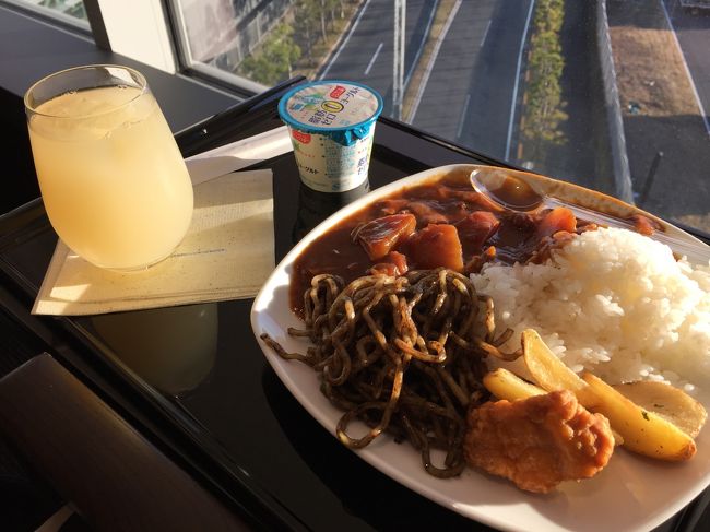 気のせいかANAカレー、まえより美味しくなっていた気がして、朝からがっつり頂きます。