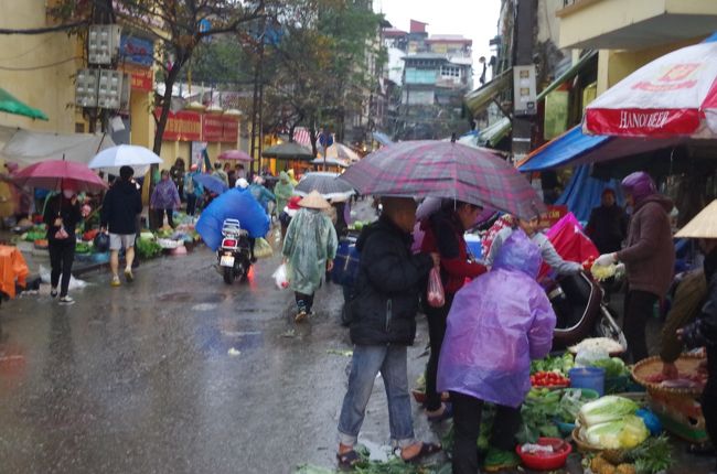 しかし雨が激しい。カメラのレンズに水滴が付いてしまうので写真撮りづらい。