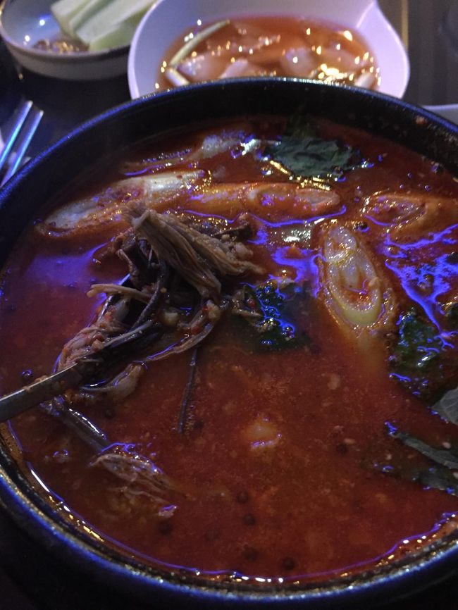 辛いスープの中に柔らかく茹でた肉があって美味しかった。もちろんこの肉独特の臭みを消すために山盛りの香菜他ありとあらゆるスパイスが駆使されていたからなのだが。<br />美味しくかつボリュームもあったので当初は冷麺あたり追加注文しようとしたのだが、これだけでお腹いっぱい。