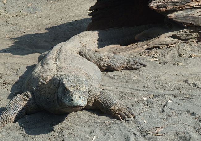 貫禄ありませすねぇ