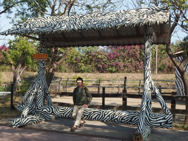 シマウマのエリアの前の椅子は、<br />シマイス！