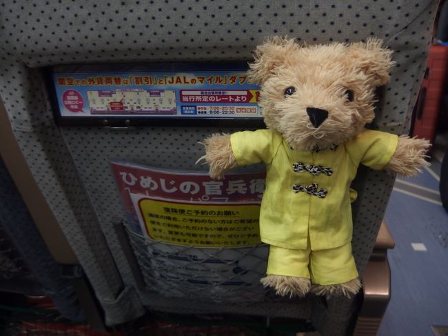 21:00のベイシャトルに乗船して、愛車が待つ神戸港に向かいました。<br /><br />台南は、午前10時頃25℃でした。関空は８℃。<br />17℃の温度差は、応えました。<br />