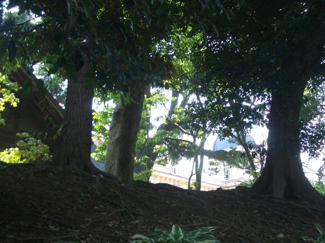 木の間から建物が見える