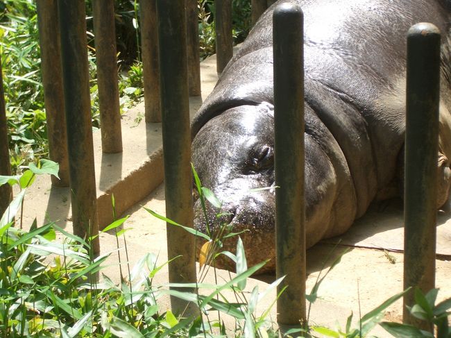 気持ちよさそうな顔しちゃって