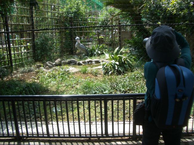 襲われて、「ヒャー！」とかパニくってるところを<br /><br />写真右側の(写真が趣味っぽい)女性に見られてしまいました(恥)<br /><br />が、「写真を撮りましょうか？」と言ってくれて、撮ってもらった<br /><br />載せませんが