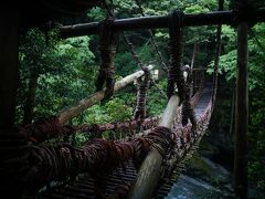 朝ご飯前にお散歩です。近くに日本三大奇矯のひとつ祖谷のかずら橋があります。よくテレビや写真で見るのですが、すぐ近くにコンクリートの橋もあり「秘境の中にある橋」といったイメージとはかけ離れていました。