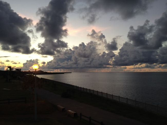 早朝だと暑さも適度で本当に気持ちが良いそう。<br /><br />私は朝から洗濯物を渡され爽やかとは無縁です…。<br />