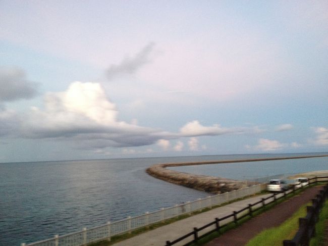 でもこんな綺麗な景色なら、私もお散歩行けばよかったかな〜。<br />