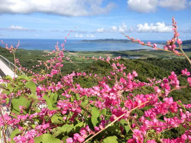 南国のお花と海と雲と…<br /><br /><br />