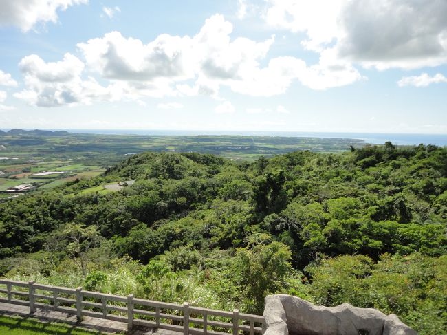 海と反対側にはこんなに緑が！<br />本当に自然豊かな島ですね。