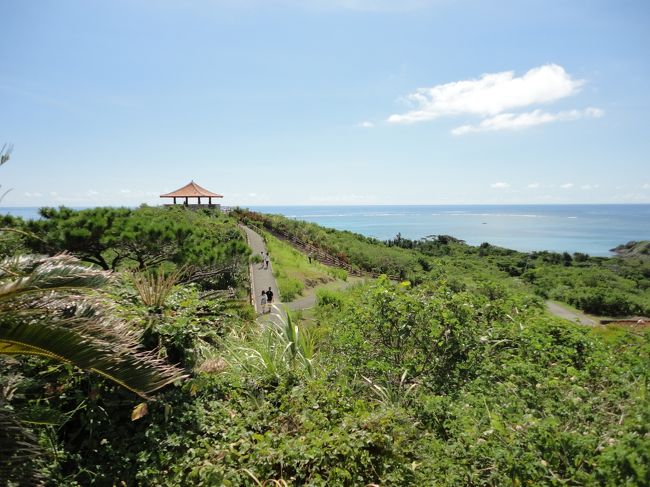 駐車場から歩いて、『玉取崎展望台』へ<br /><br />遠くに見える赤い屋根が展望台になっています。<br />暑くて汗が噴き出ます。<br /><br />２チームに分かれて見学に来ましたが…<br />息子はなぜか２往復してました。<br />恐るべき体力…