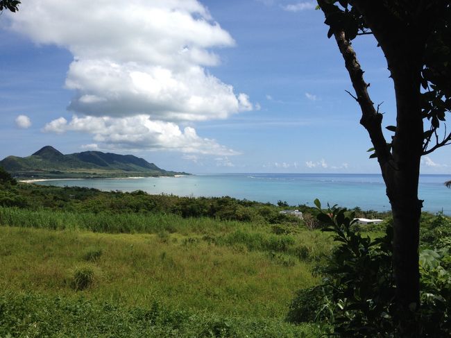 駐車場からも海が見えます。<br />