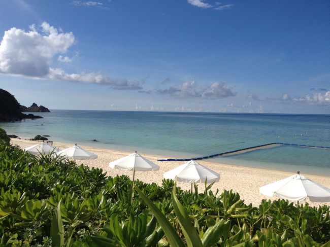 パパも合流してビーチへ行くことに。<br />