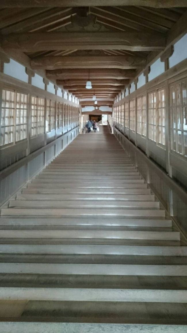 廊下がピカピカ。