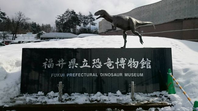 恐竜博物館の周りも雪積もっていました。