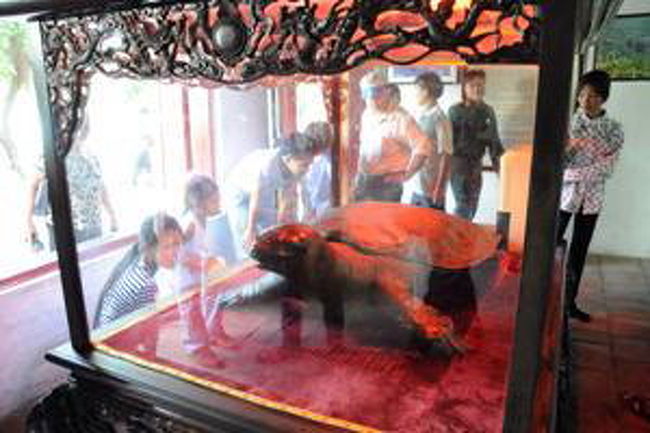 ５０年ほど前に発見された２ｍを越える大亀は、この祠堂の中で展示されている。