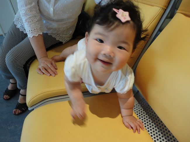 娘ちゃんは抱っこが飽きてしまいハイハイ…。<br /><br />椅子も綺麗なんだな〜。