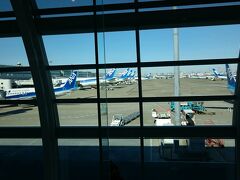 祝日だったので、
リムジンバスが30分以上早く空港に到着しました。

出発までの1時間半を、
空港内でセール品などの買い物をして
過ごしていたので、
あっという間でした。





