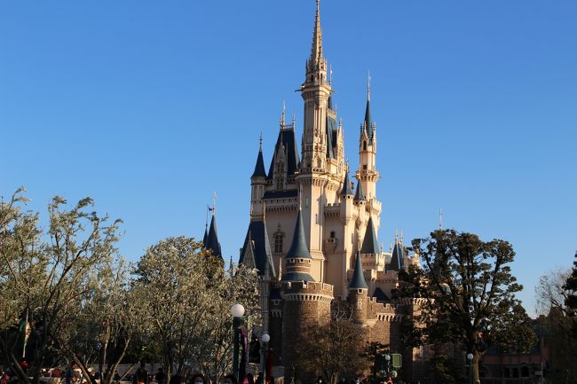 入園後　シンデレラ城<br /><br />１６時５分からの<br />フローズンファンタジーグリーティングのパレードを観る為に、<br />事前に調べてフロートの停止位置を確認して、パレード待ちします。<br />風が強かったですね〜