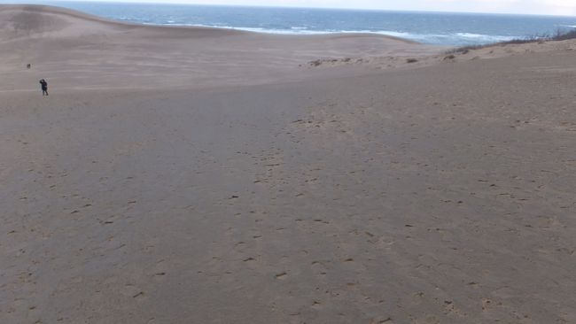 足立美術館 出雲大社 鳥取砂丘 ２日間のツアーに行ってきました 鳥取砂丘と ブランドタグ付松葉ガニ の夕食 鳥取市 鳥取県 の旅行記 ブログ By Entetsuさん フォートラベル
