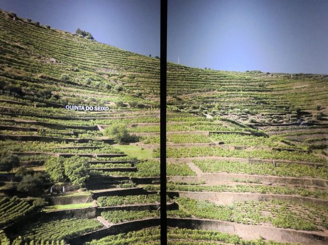 ドウロ川上流のワイン栽培地域の写真もあった。<br />この地域も世界遺産に指定されている。<br />周遊ツアーでも立ち寄ってほしい。
