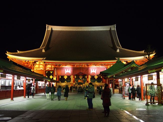 夜のライトアップされた寺っていいですよね〜