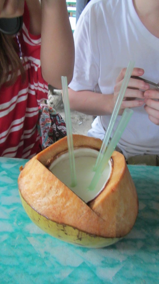 マレーシア人の友人が頼んでいたのはココナッツジュースとココナッツの殻に入ったプリンでした！！　