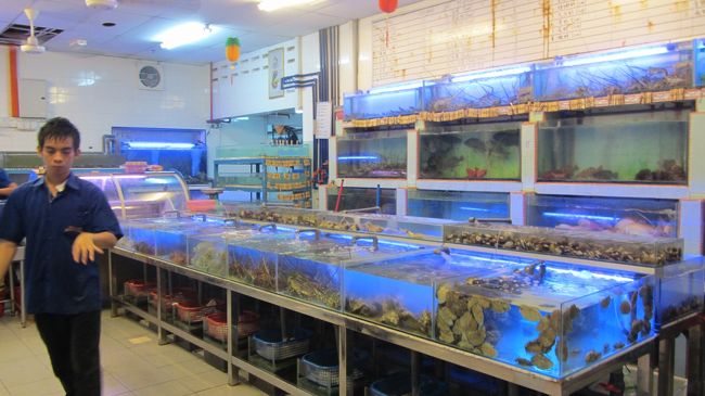 晩ごはんはシーフードレストランで<br />メニューはないです。　水槽の中から食べたいものと調理法を選びます。