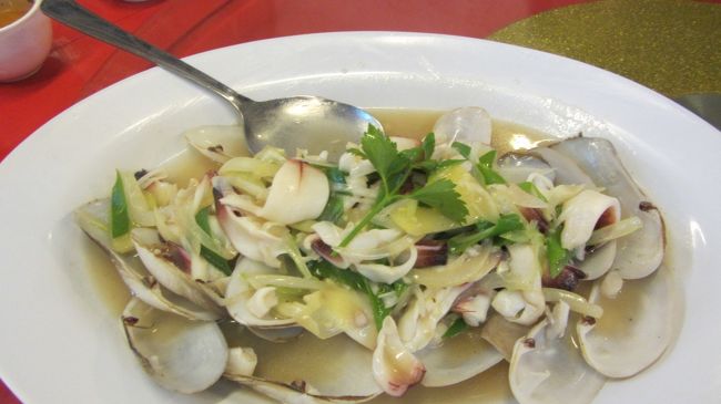 よくわからない貝