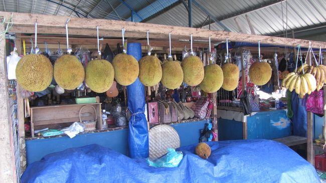 ジャックフルーツ！