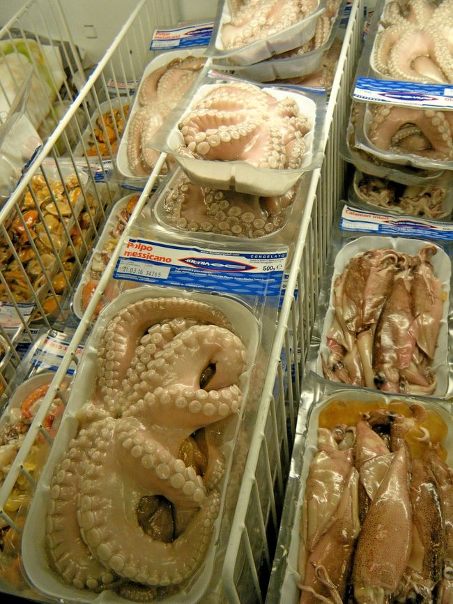 このタコすごいね