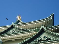 名古屋城にも寄っておきます。
　