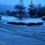 プリウスde滋賀県彦根②（吹雪の彦根城へ）