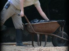 今の私を知っている人が聞いたら大笑いするだろうけども.....

私は　子どもの頃、飼育員さんになりたい....と本気で言っていた純粋な時期があったんだぁぁよぉ...。

