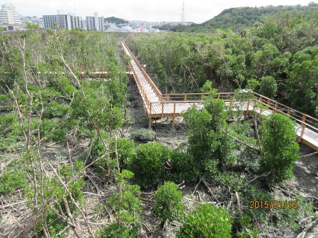 漫湖湿地内の観察路。