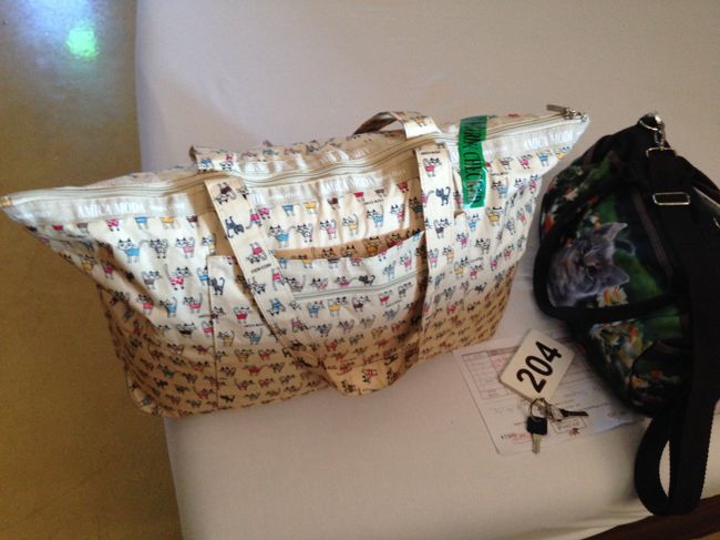 荷物パンパンだが<br />念のために　予約の時点で<br />飛行機には荷物を預けられるようにしていてよかった