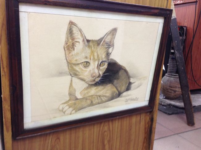 猫<br />1800Ｂ<br /><br />タイの猫独特のシャープなアゴと<br />大きな耳