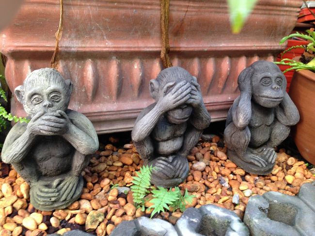 寒いので<br />長袖シャツ＋首まであるヒートテック＋カーデガン<br />という服装で臨んだ<br /><br />8：00に1日ツアーの方のお迎えをロビーで待っていた<br />実際にお迎えがあったのは08:40だった<br /><br />海外だからこんなもんだな。<br /><br />写真はホテル入り口にある猿の置物<br />日光東照宮で買ったのかな？