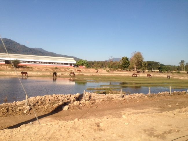 私が乗った後<br />5件くらいホテルをまわって<br />全員で13人の混載ツアーだった<br /><br />