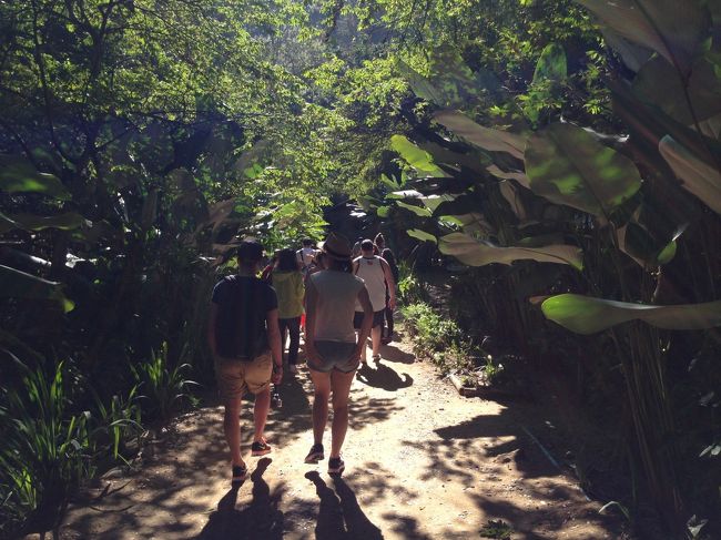 ポーランド人3人<br />フランス人2人<br />アイルランド人2人<br />中国人4人<br />スリランカ人1人<br />そして私というメンバーでした