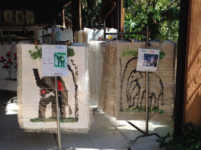 売店では象が描いた絵が<br />数百枚並んでいた<br />