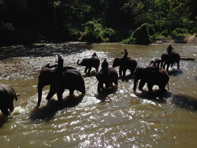 ショーの前に水浴びかな？