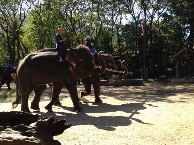 「Ｗｅｌｃｏｍｅ」<br />の札を２頭で持って<br />ショーが始まった