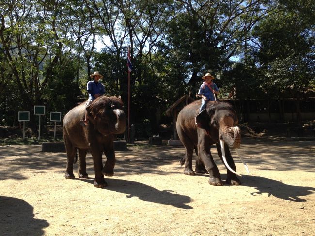 サッカーも上手にこなしてました