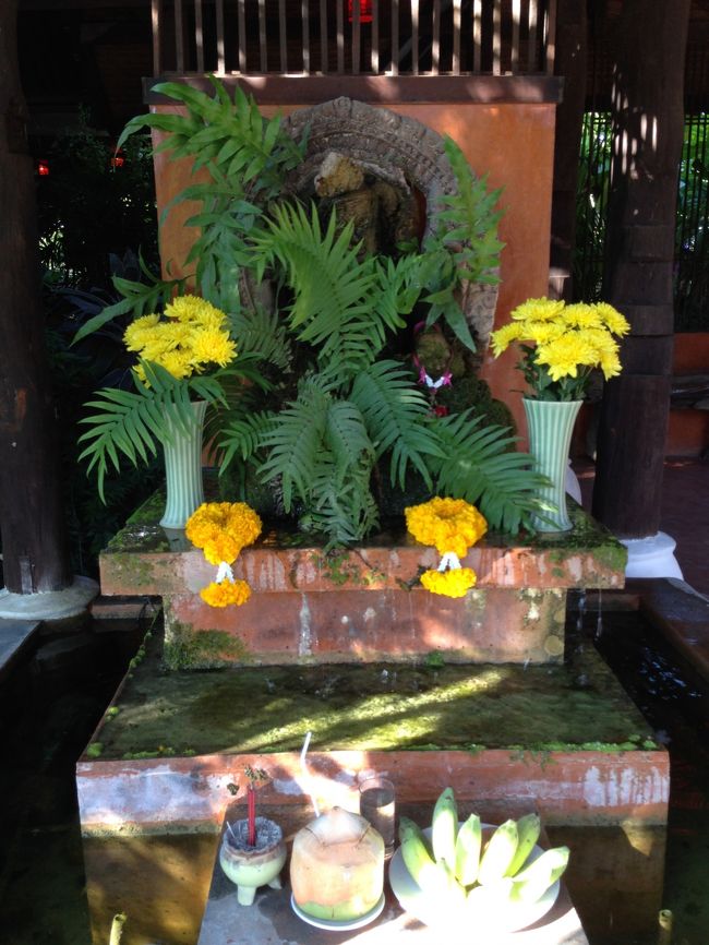 カレン族の村を後にして45分<br />蘭園に到着<br /><br />入り口には<br />菊やマリーゴールド<br />バナナやヤシが<br />お供えしてあった