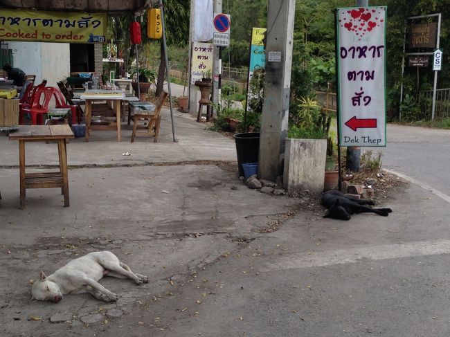今度は自転車で北に向かおう<br /><br />目指すはジンジャイマーケットだ<br /><br />旧市街北東の角から<br />Assdaton roadをすすむ<br />